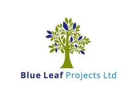 Blueleaf Project Pvt Ltd