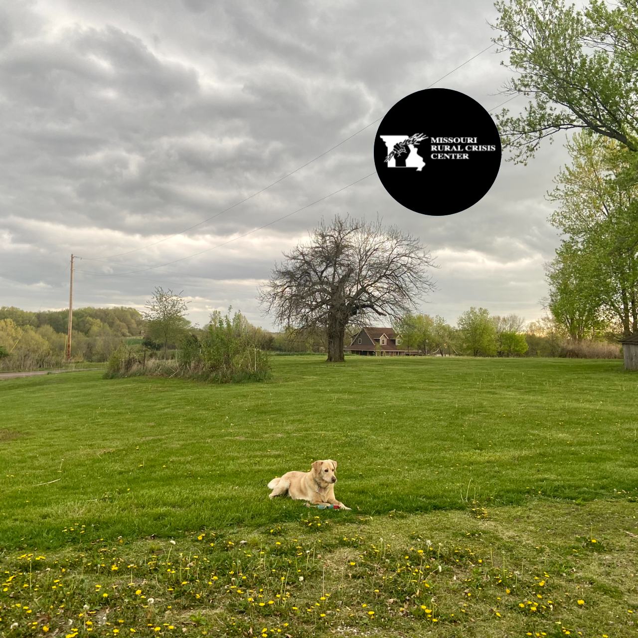 Photo from question : Show us why you love rural Missouri!