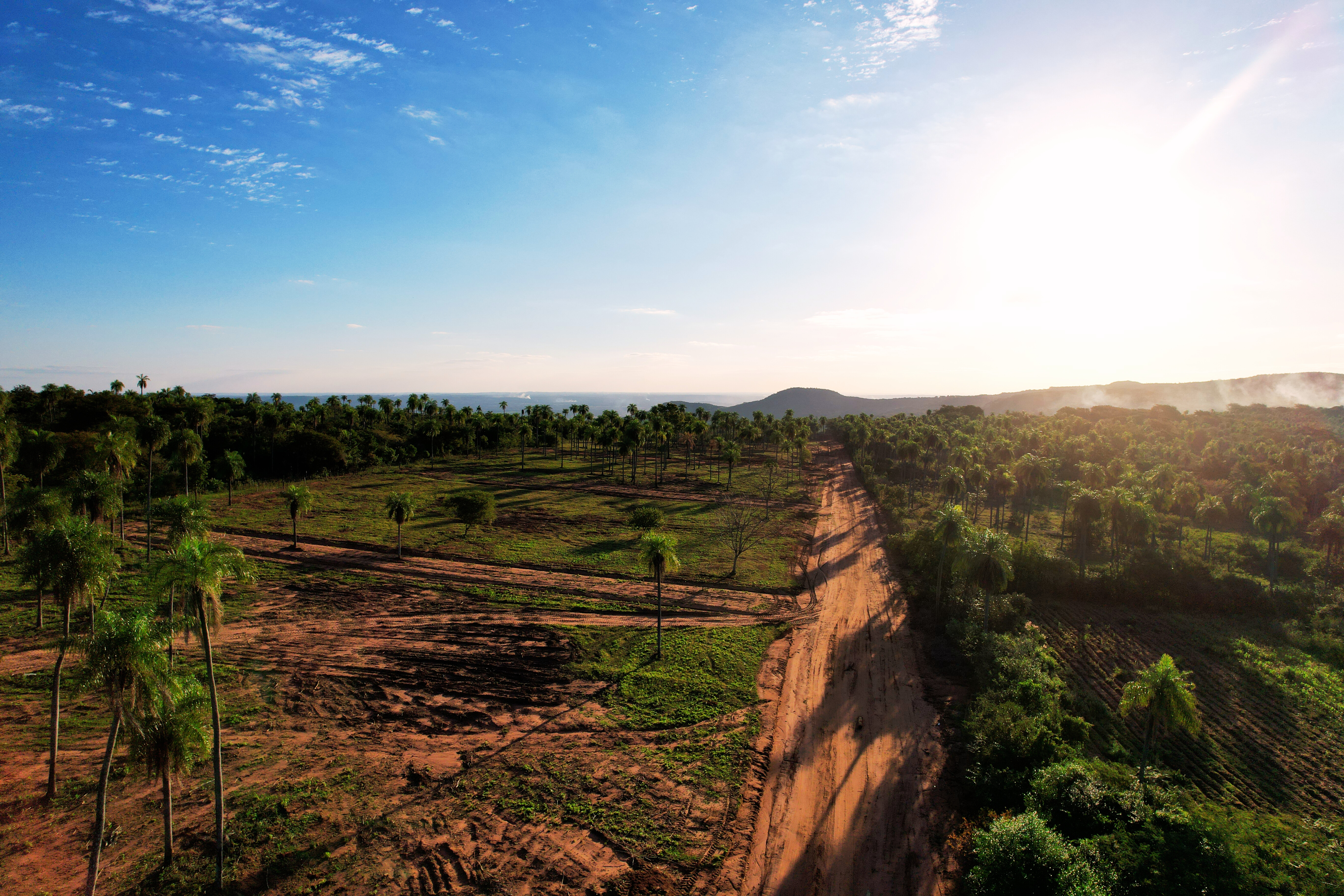 Imagen 2 de 3 Vientos