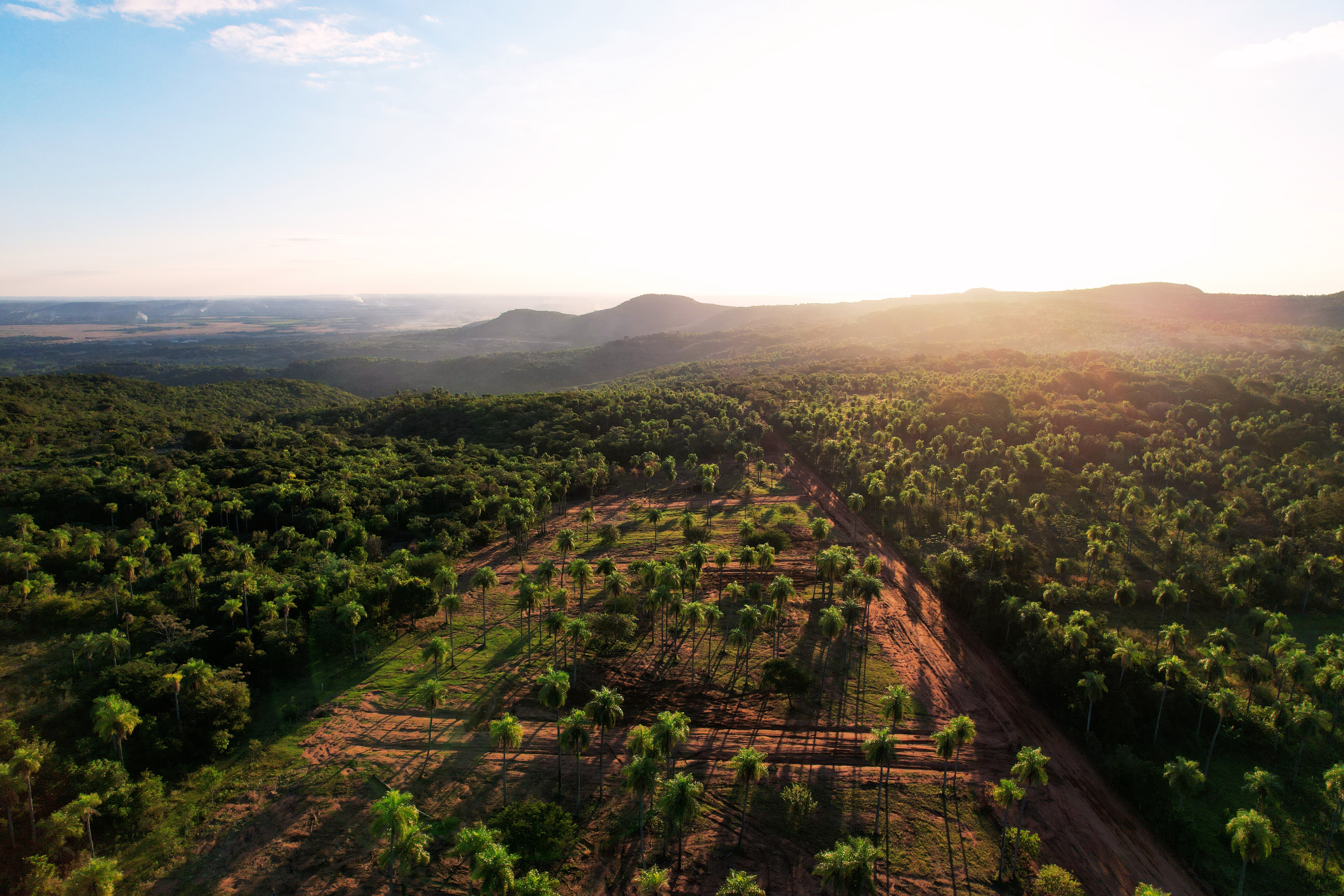 Imagen 4 de 3 Vientos