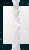 Belvedere 10 bottle