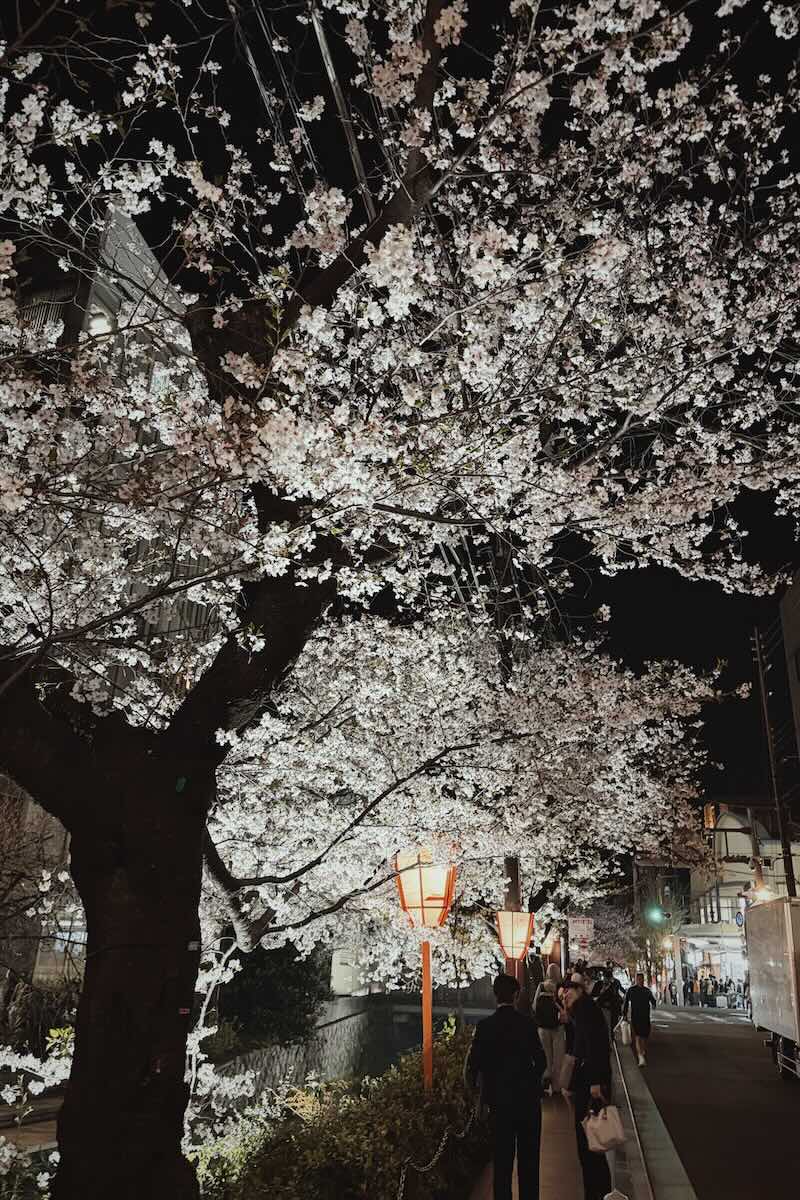 大学院時代の友人と会食の投稿画像 1/2