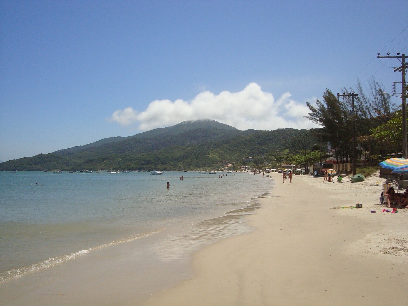 Festival Remdy Navegantes