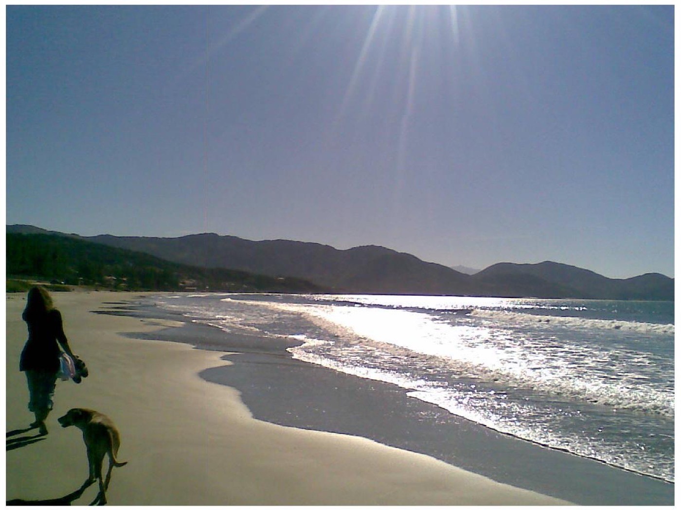 Foto 4 de 5 — Festival Remdy Navegantes