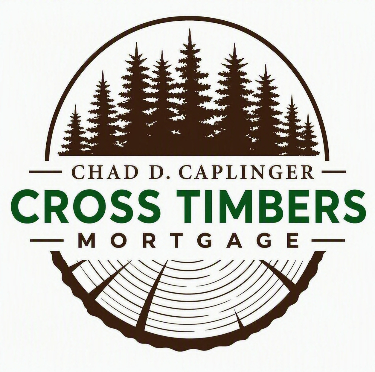 Theme Footer Logo