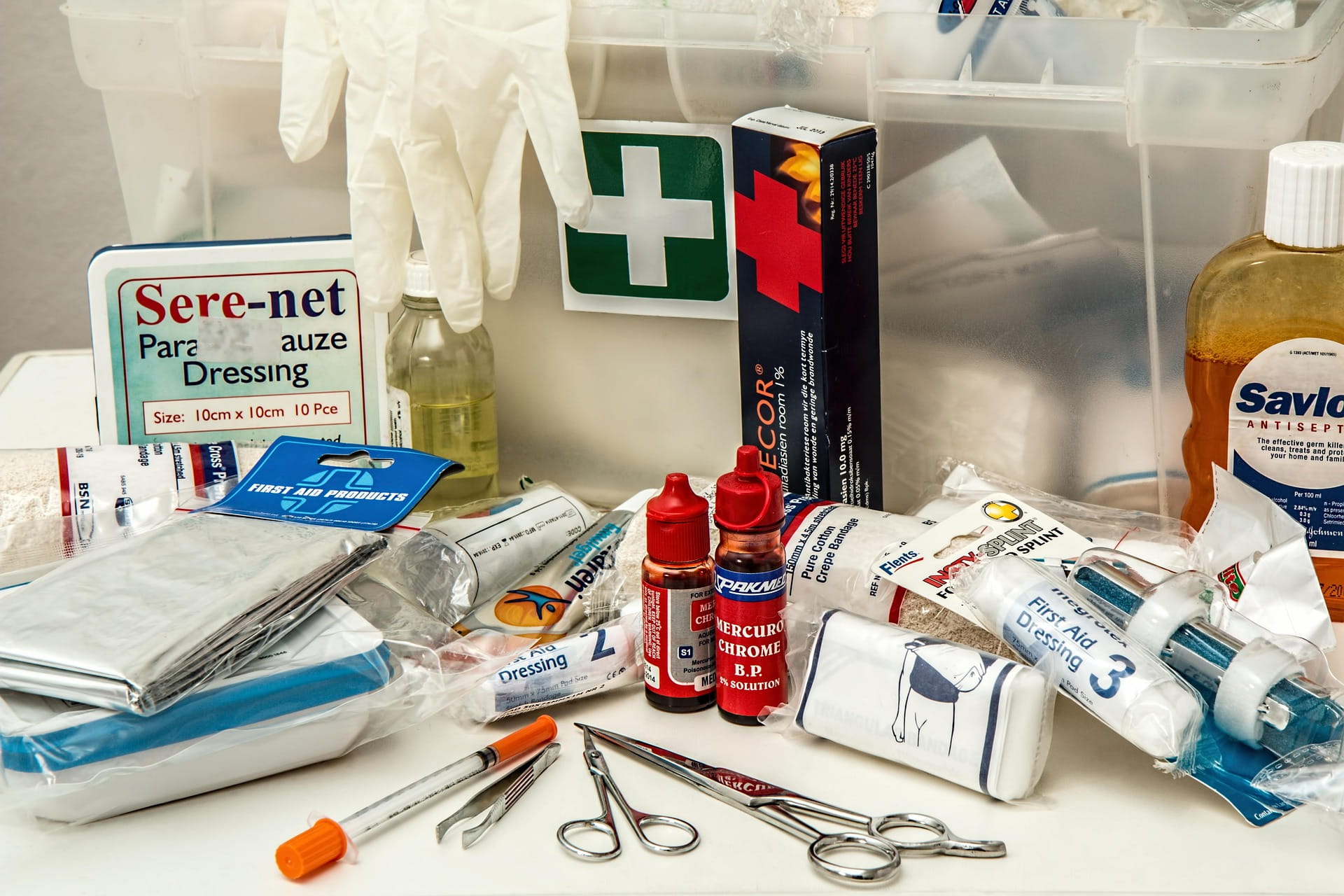 Kit de Primeiros Socorros Pet: O Que Ter em Casa Para Emergências