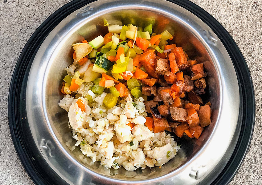 Alimentação Natural para Cães: Benefícios, Cuidados e Como Começar