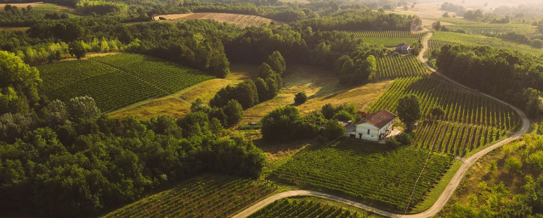 Cossetti, 130 anni di Monferrato nel calice