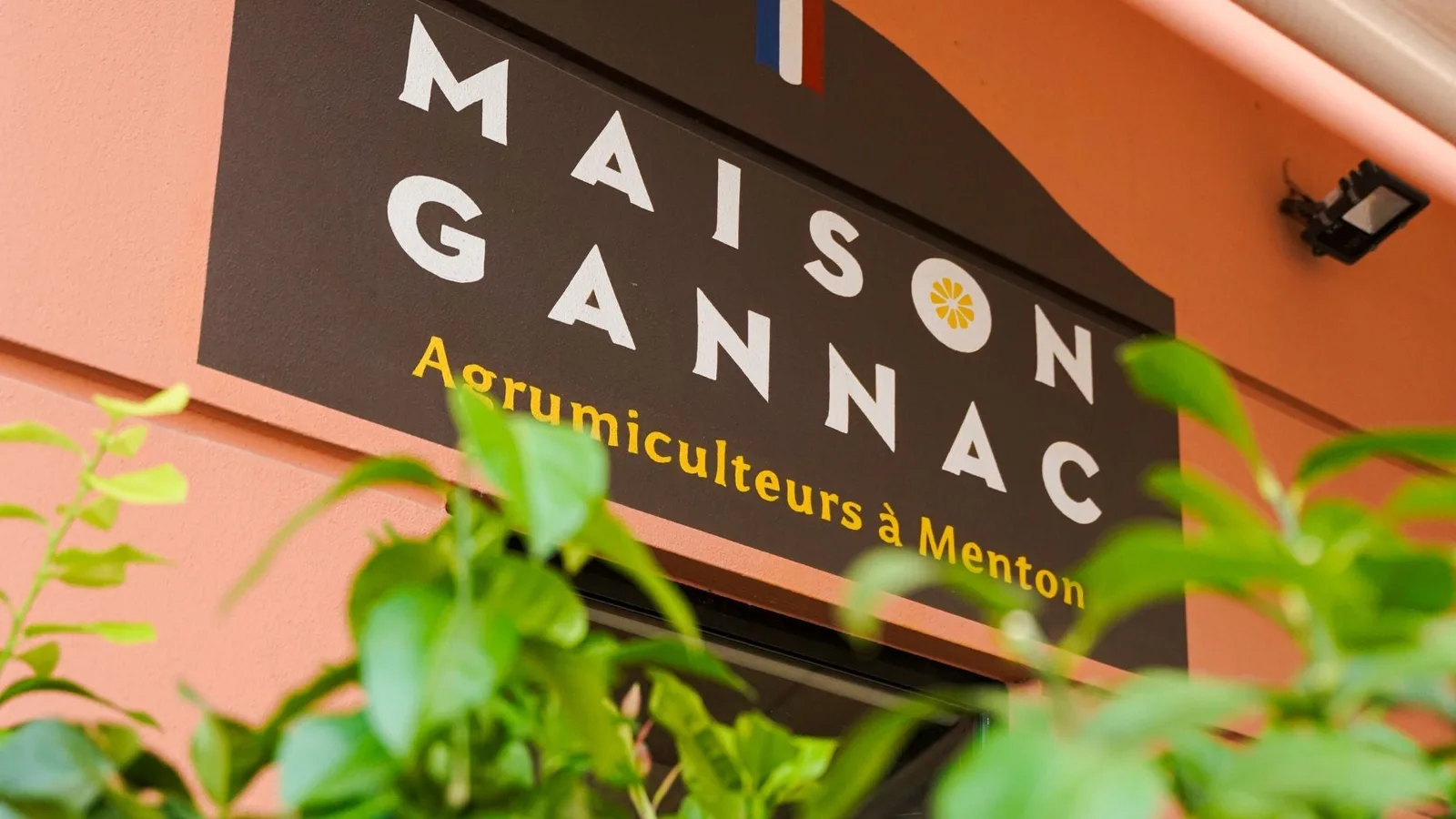 Maison Gannac (La Maison du Citron)