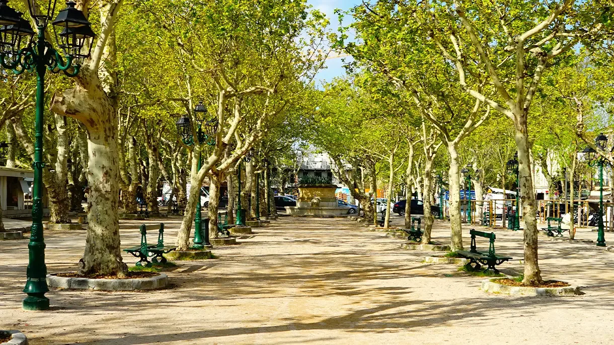 Place des Lices