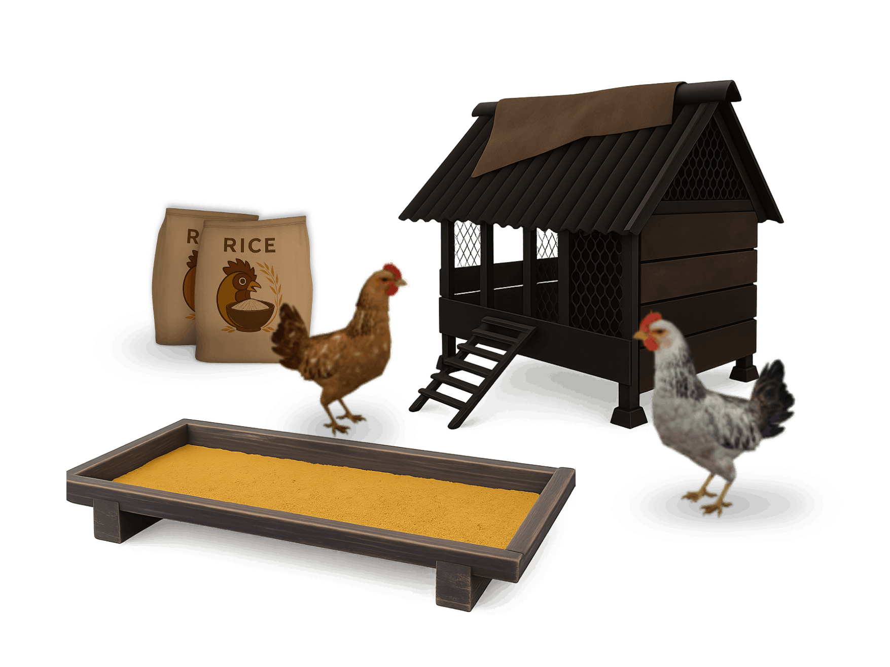 A starter kit for chicken raising