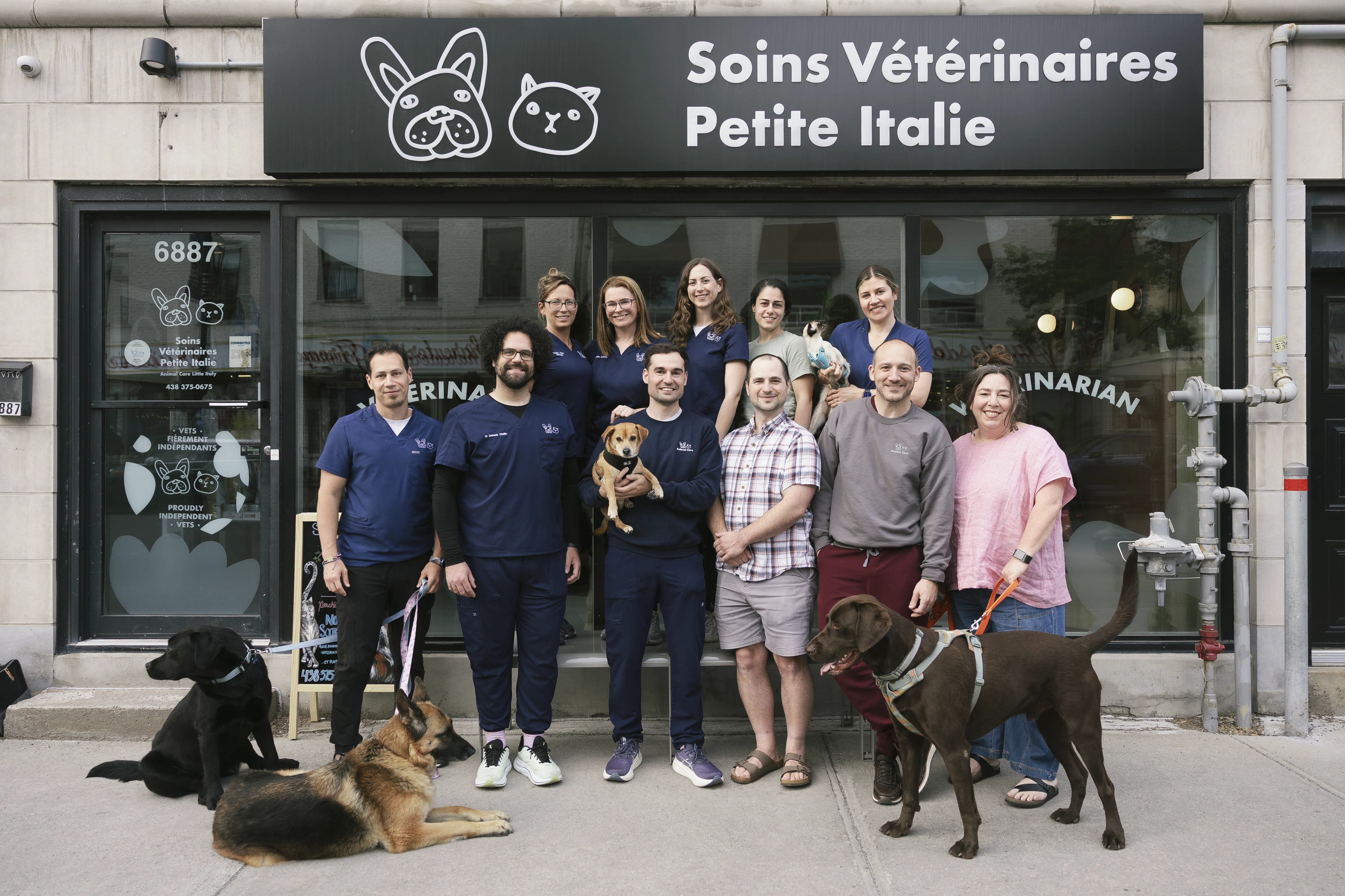 Photo De l'équipe de Soins Vétérinaires