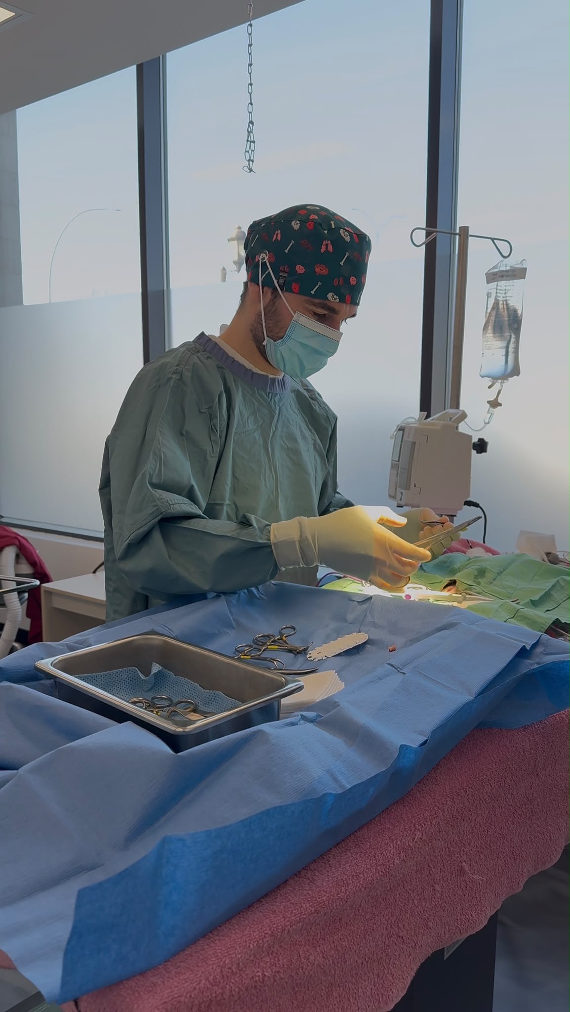 Une stérilisation à la clinique vétérinaire Soins Vétérinaires