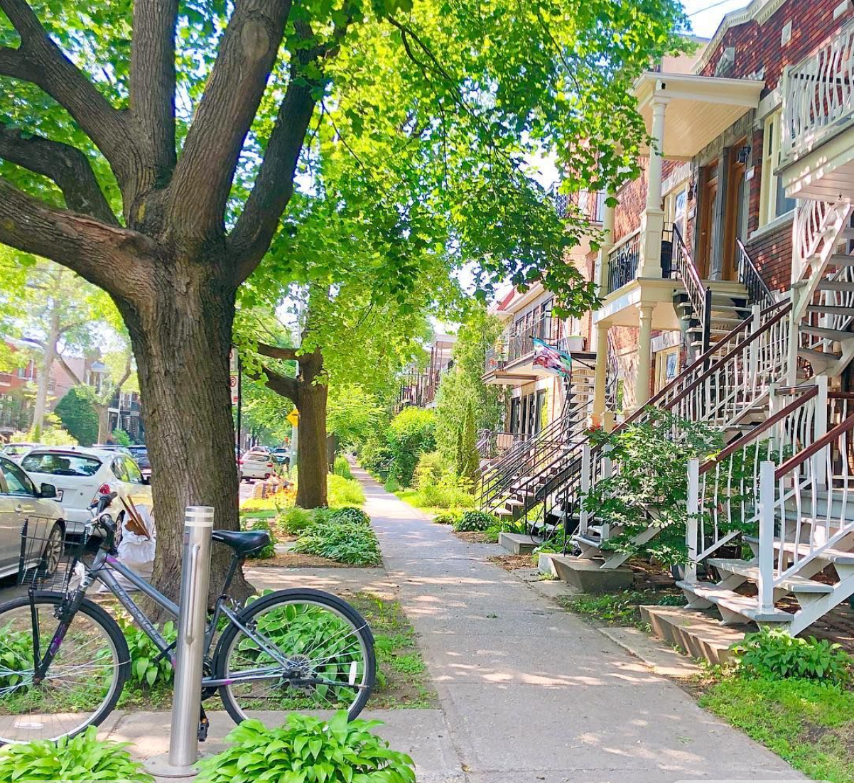 Photo du quartier Rosemont à Montréal Canada