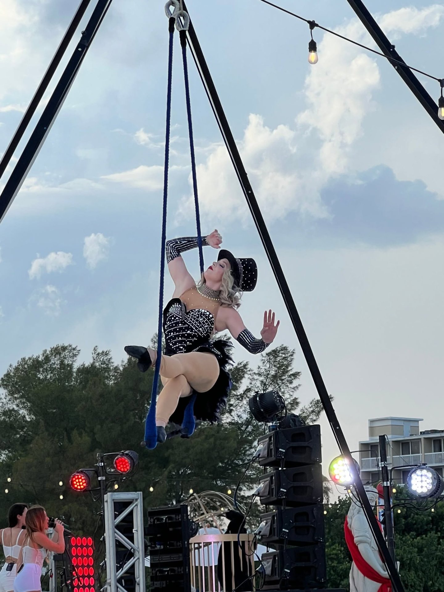 Aerial Artistry