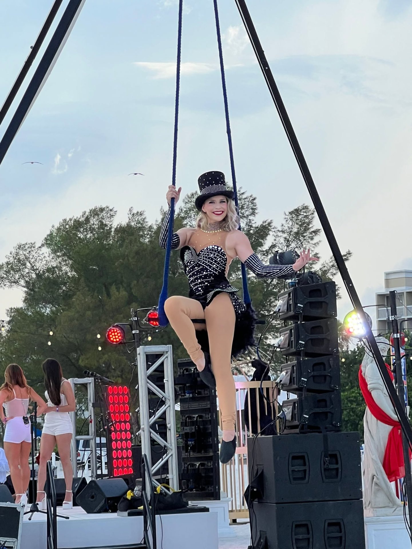 Aerial Artistry