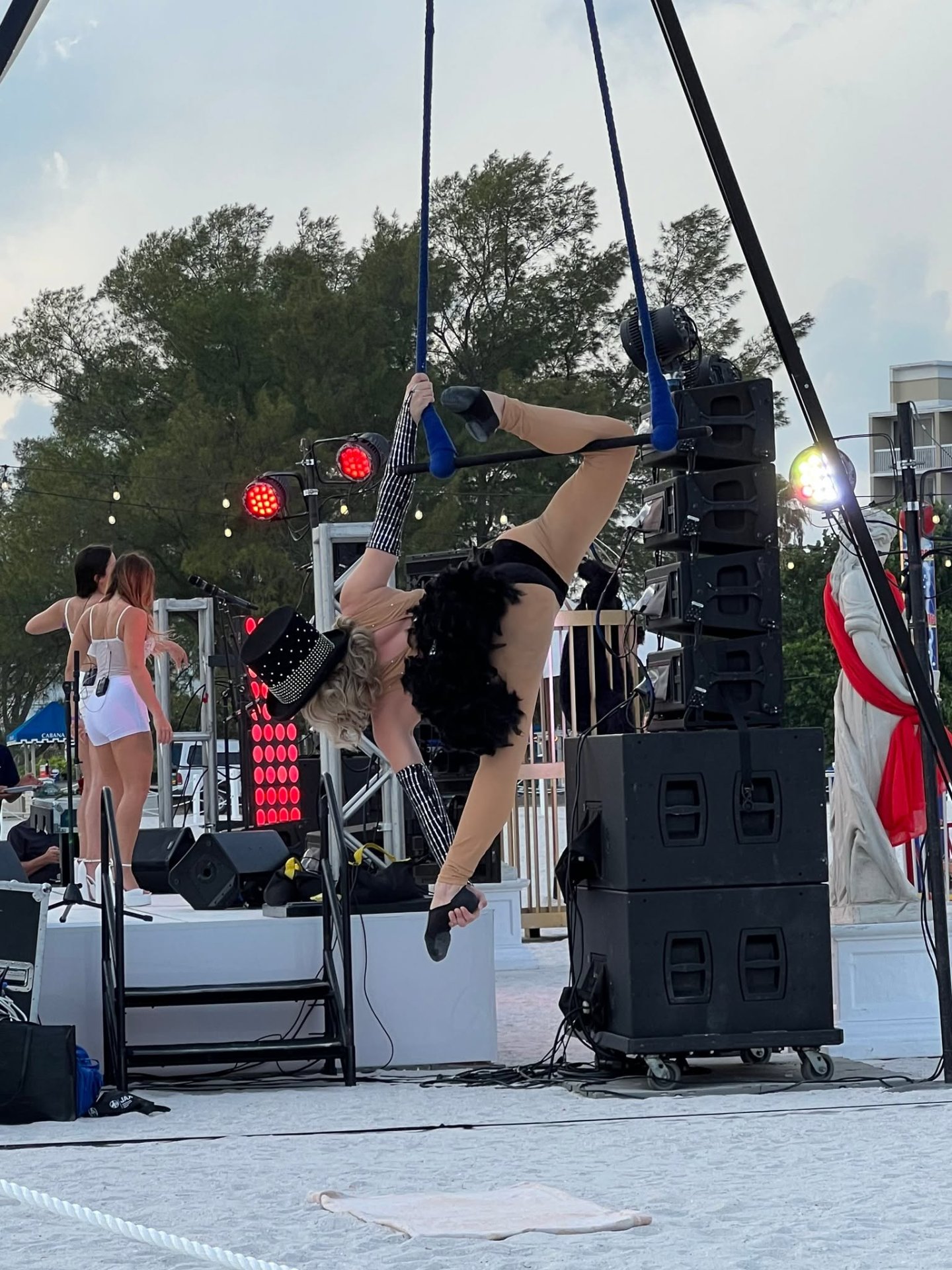 Aerial Artistry