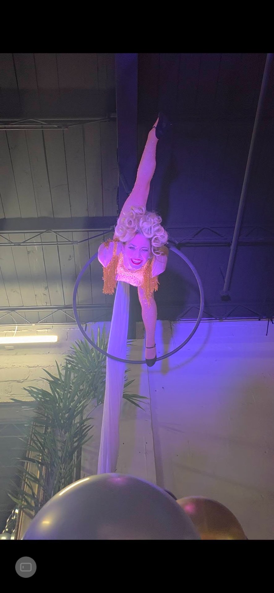 Aerial Artistry