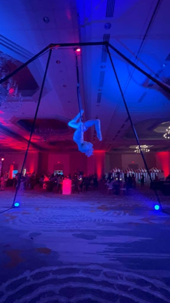 Aerial Artistry