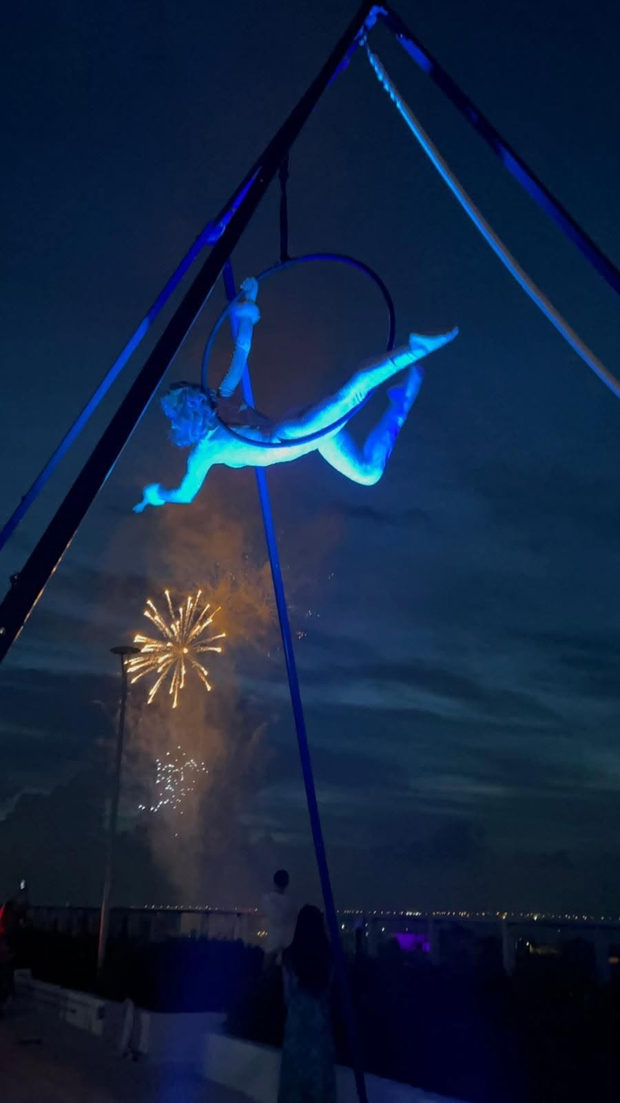 Aerial Artistry
