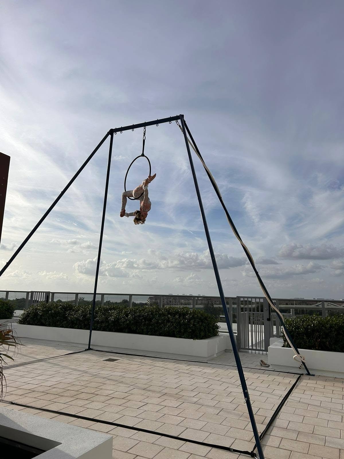 Aerial Artistry