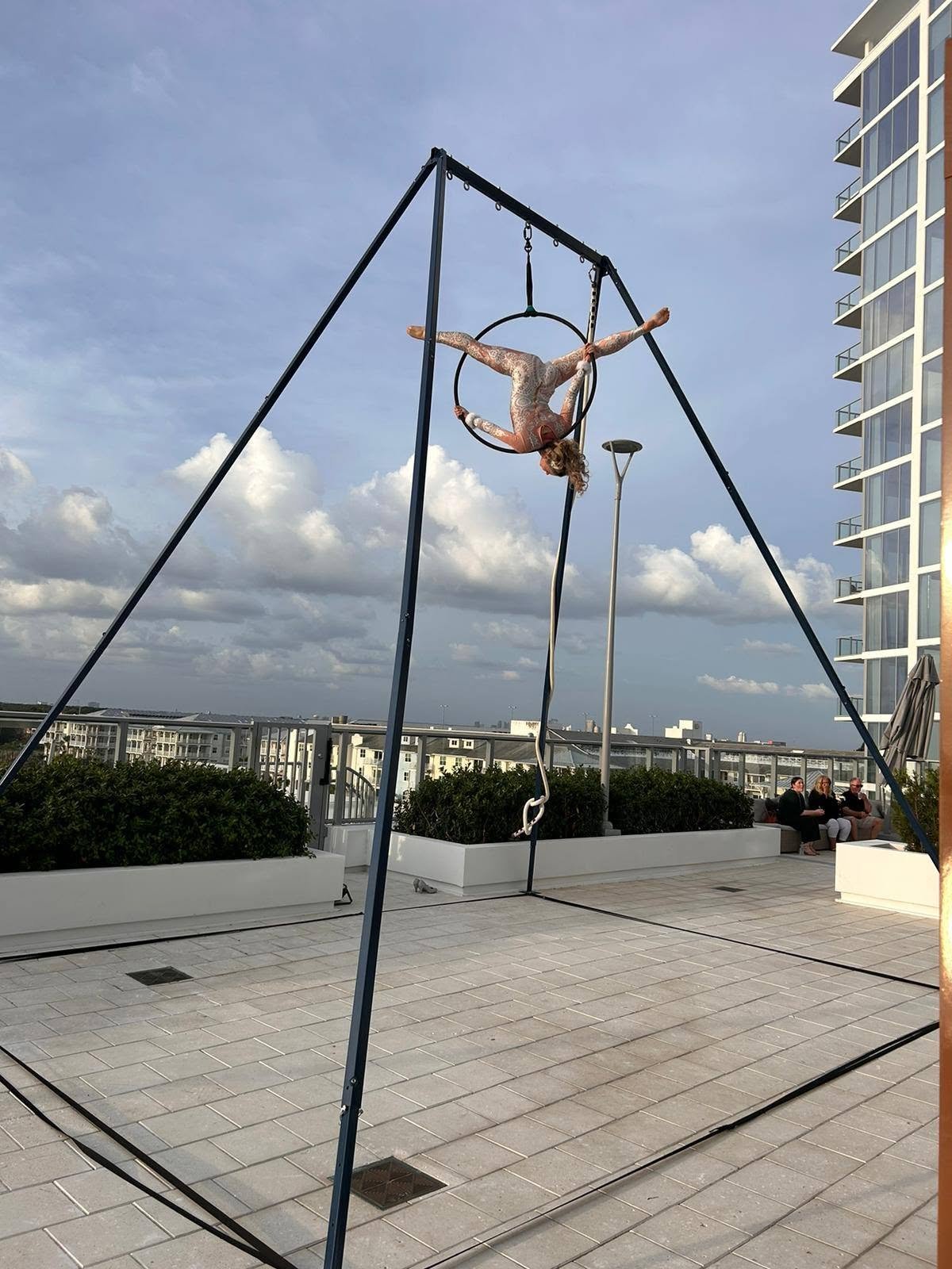 Aerial Artistry