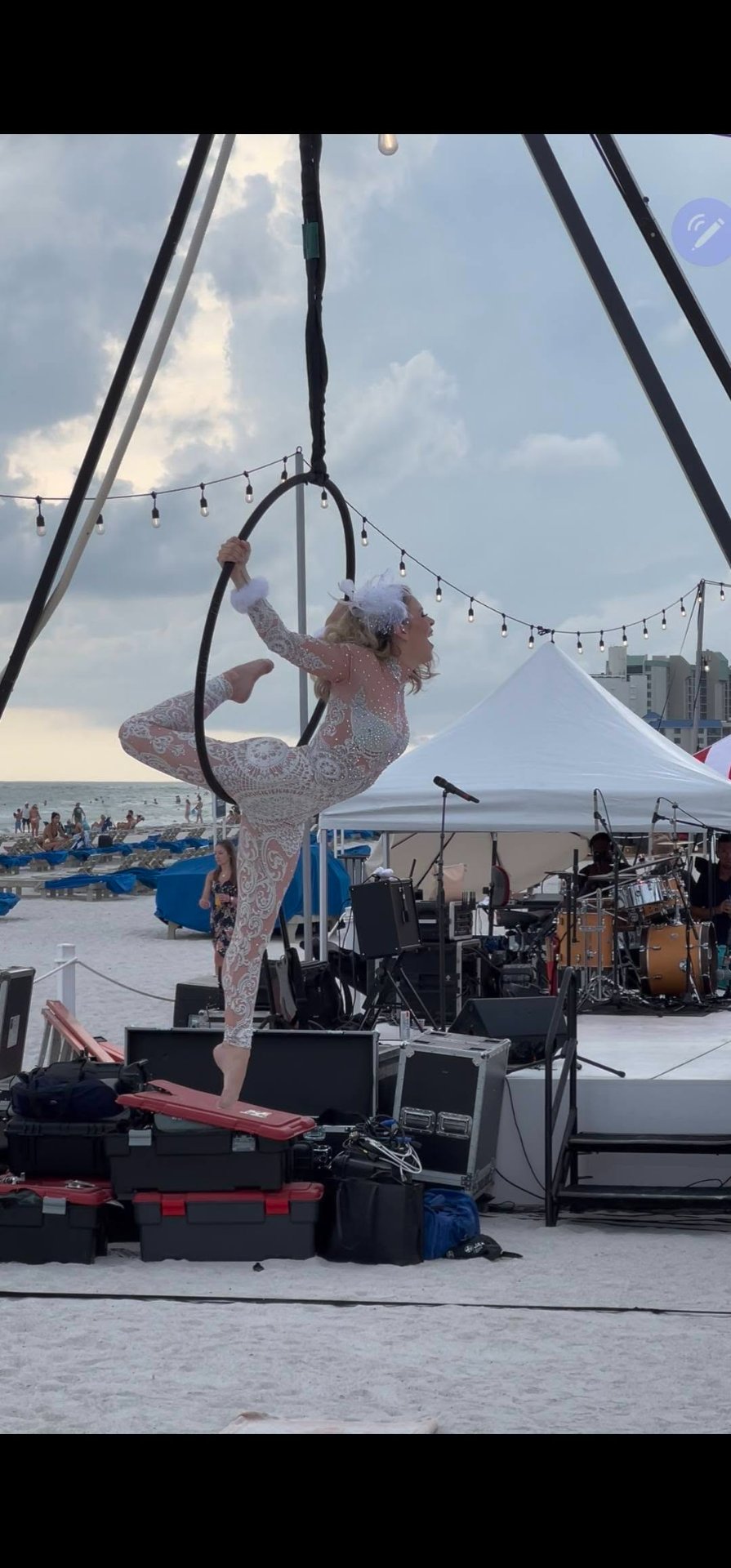 Aerial Artistry