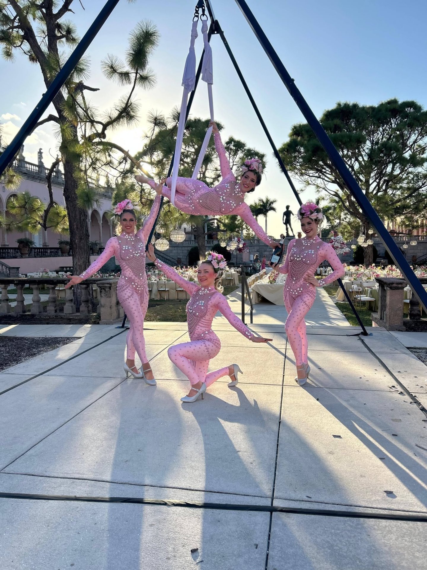 Aerial Artistry