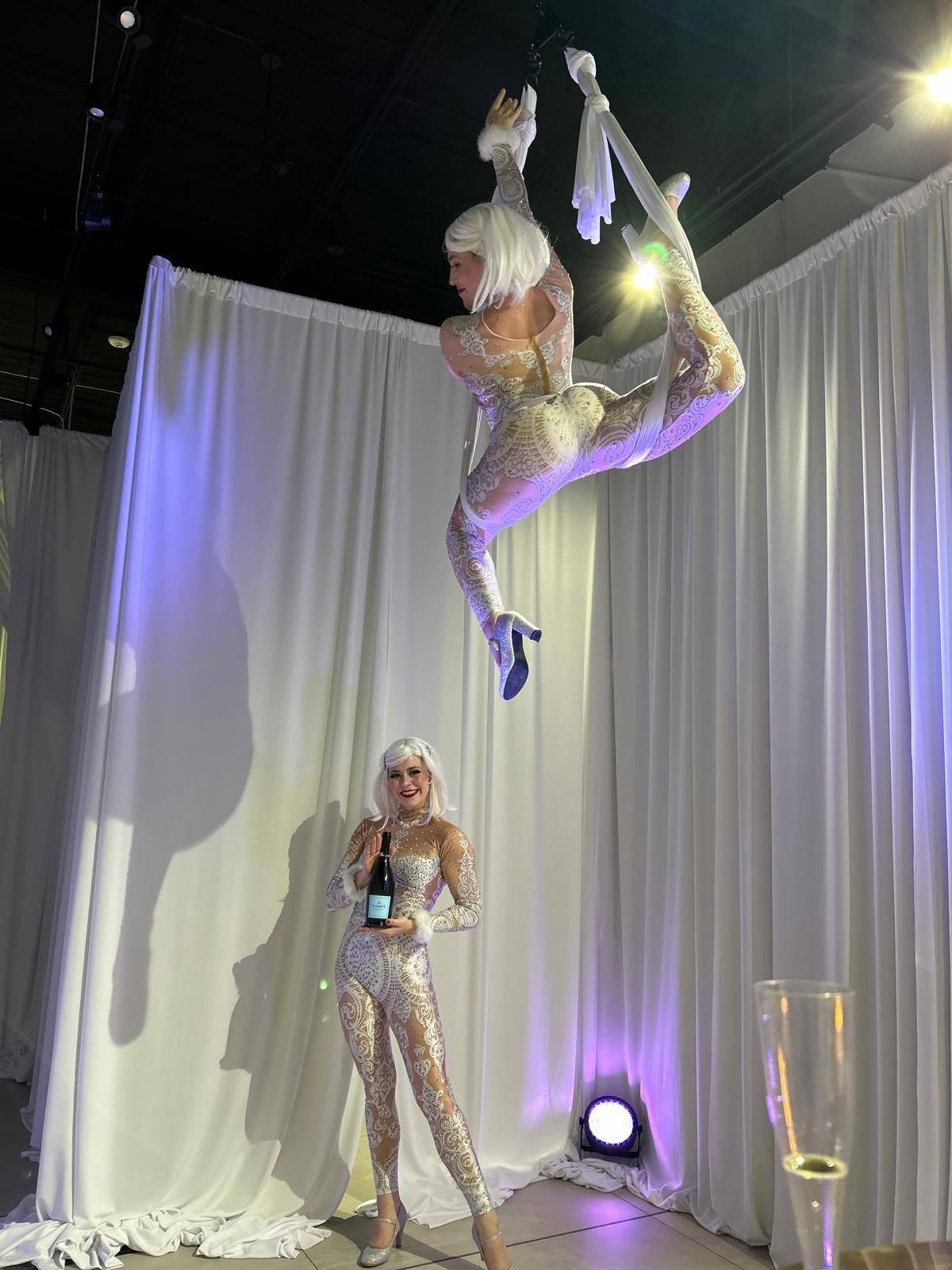Aerial Artistry