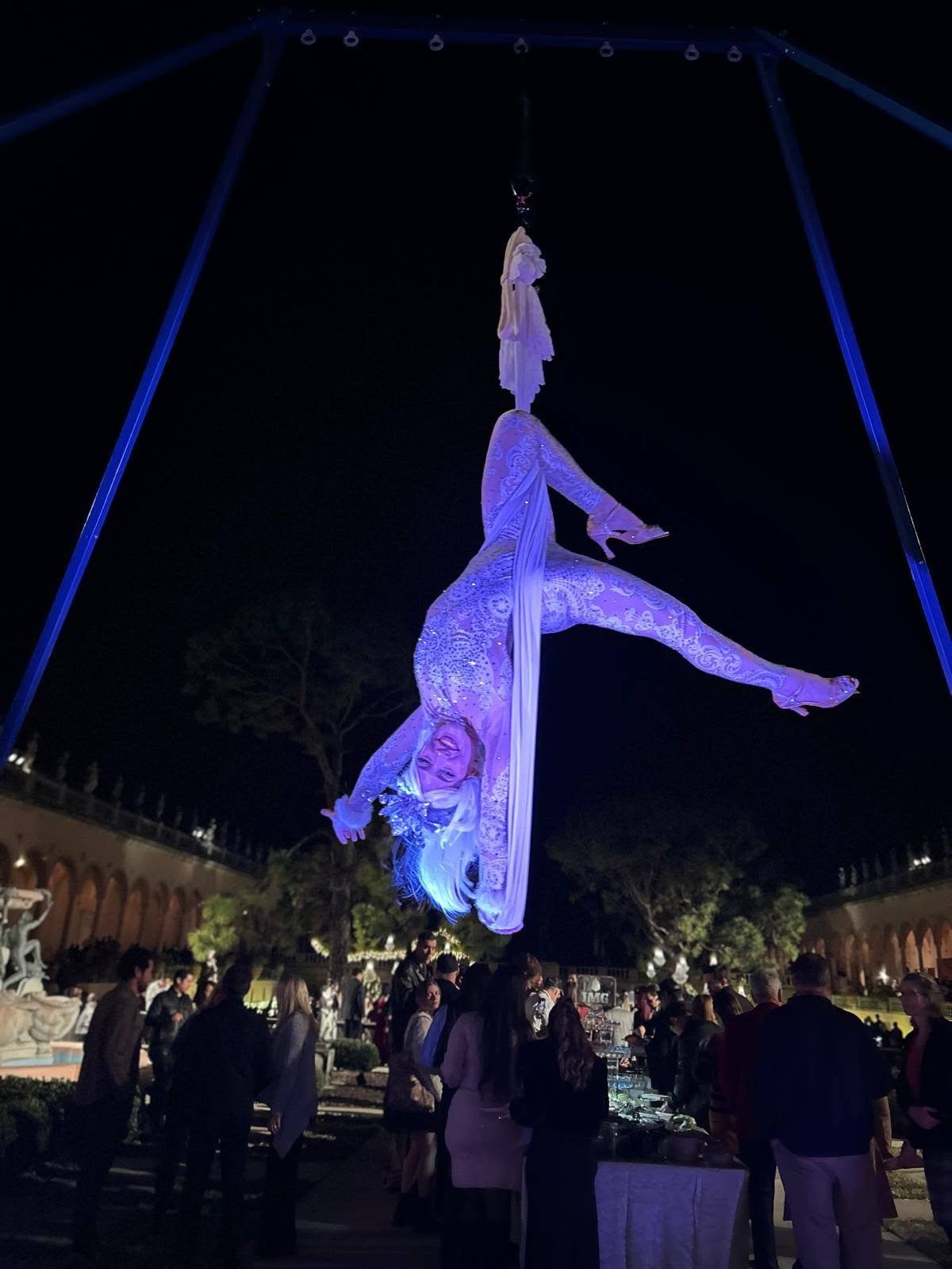 Aerial Artistry