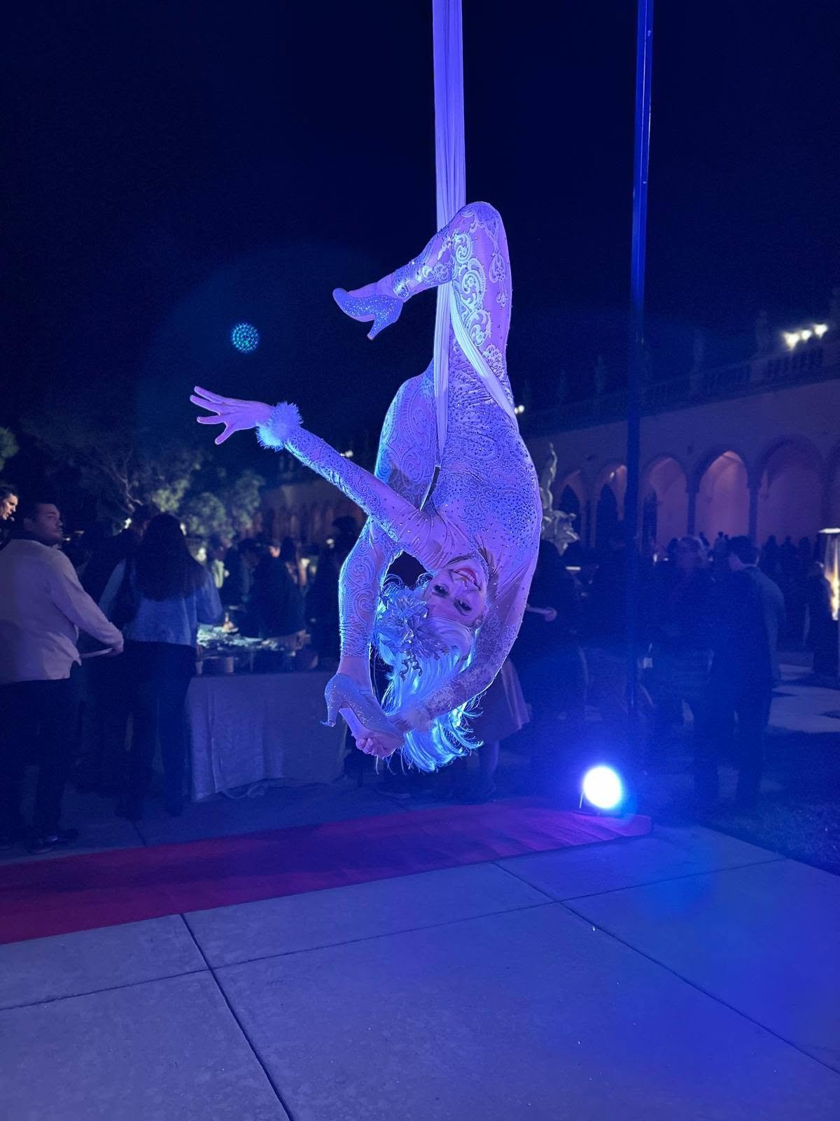 Aerial Artistry