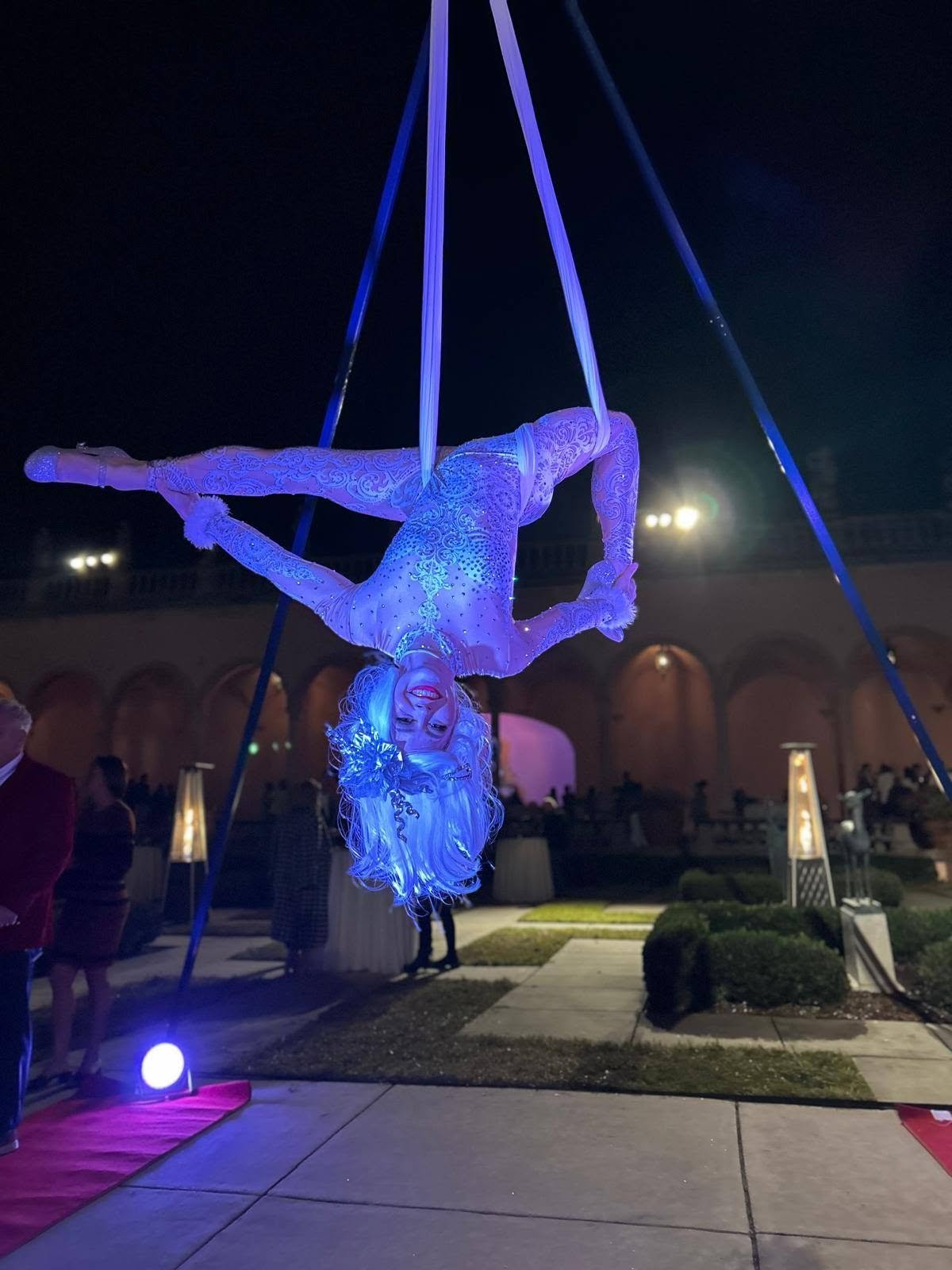 Aerial Artistry