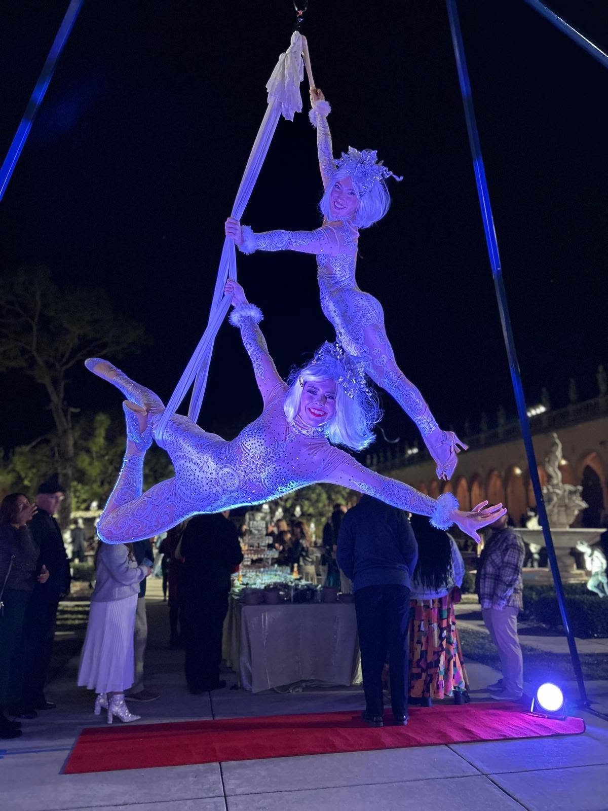Aerial Artistry