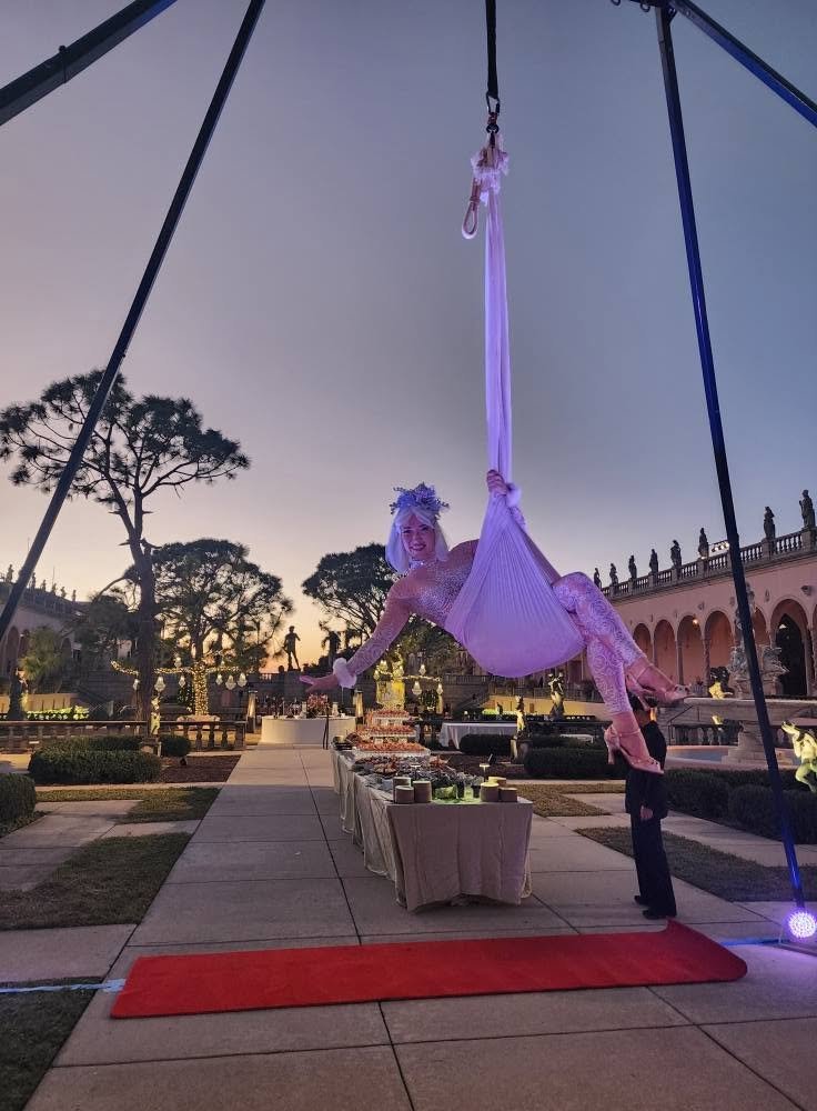 Aerial Artistry