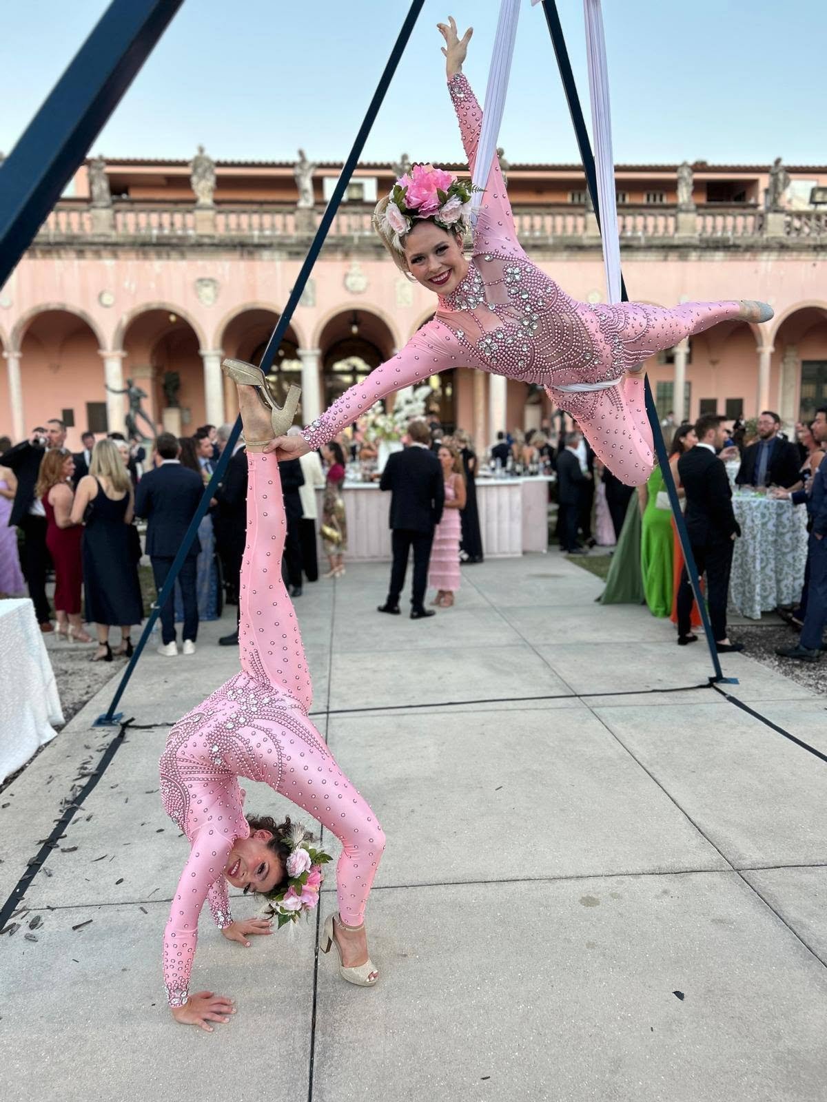 Aerial Artistry