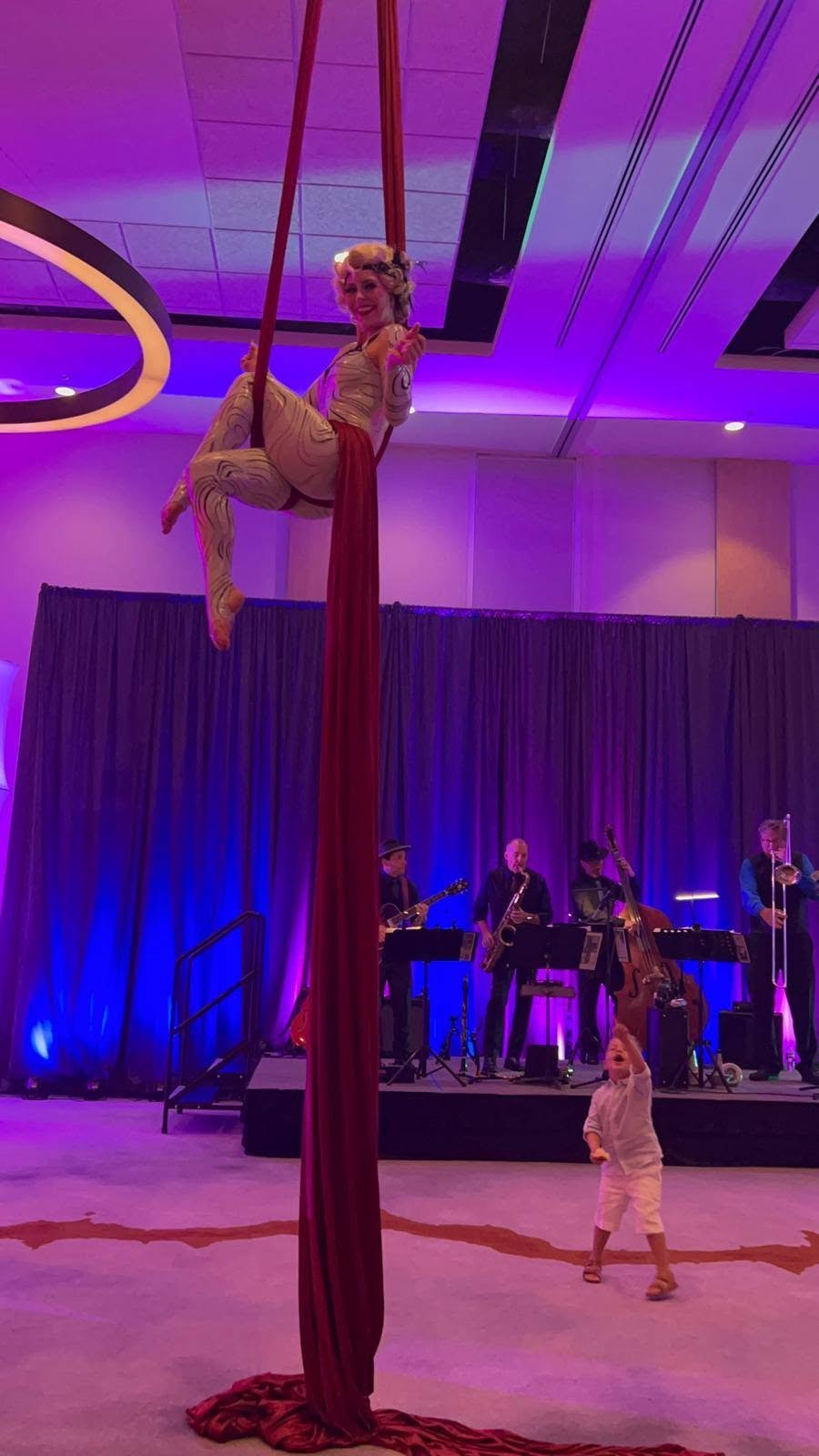 Aerial Artistry