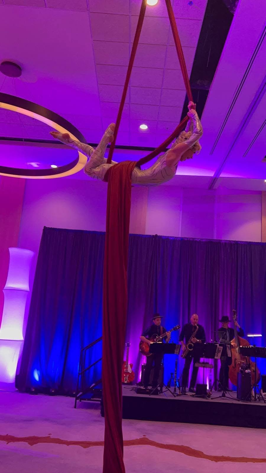 Aerial Artistry