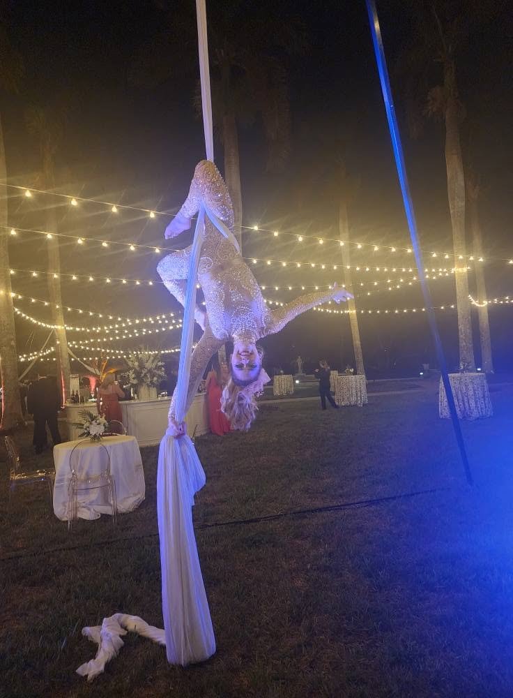 Aerial Artistry