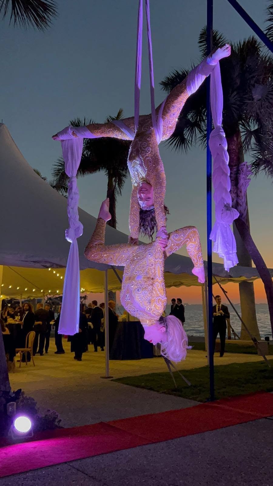Aerial Artistry