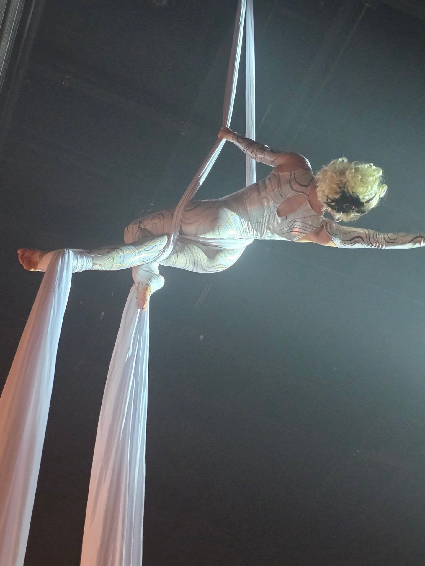 Aerial Artistry