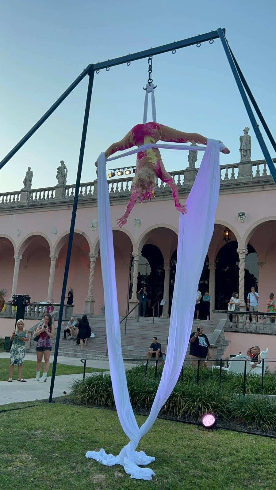 Aerial Artistry
