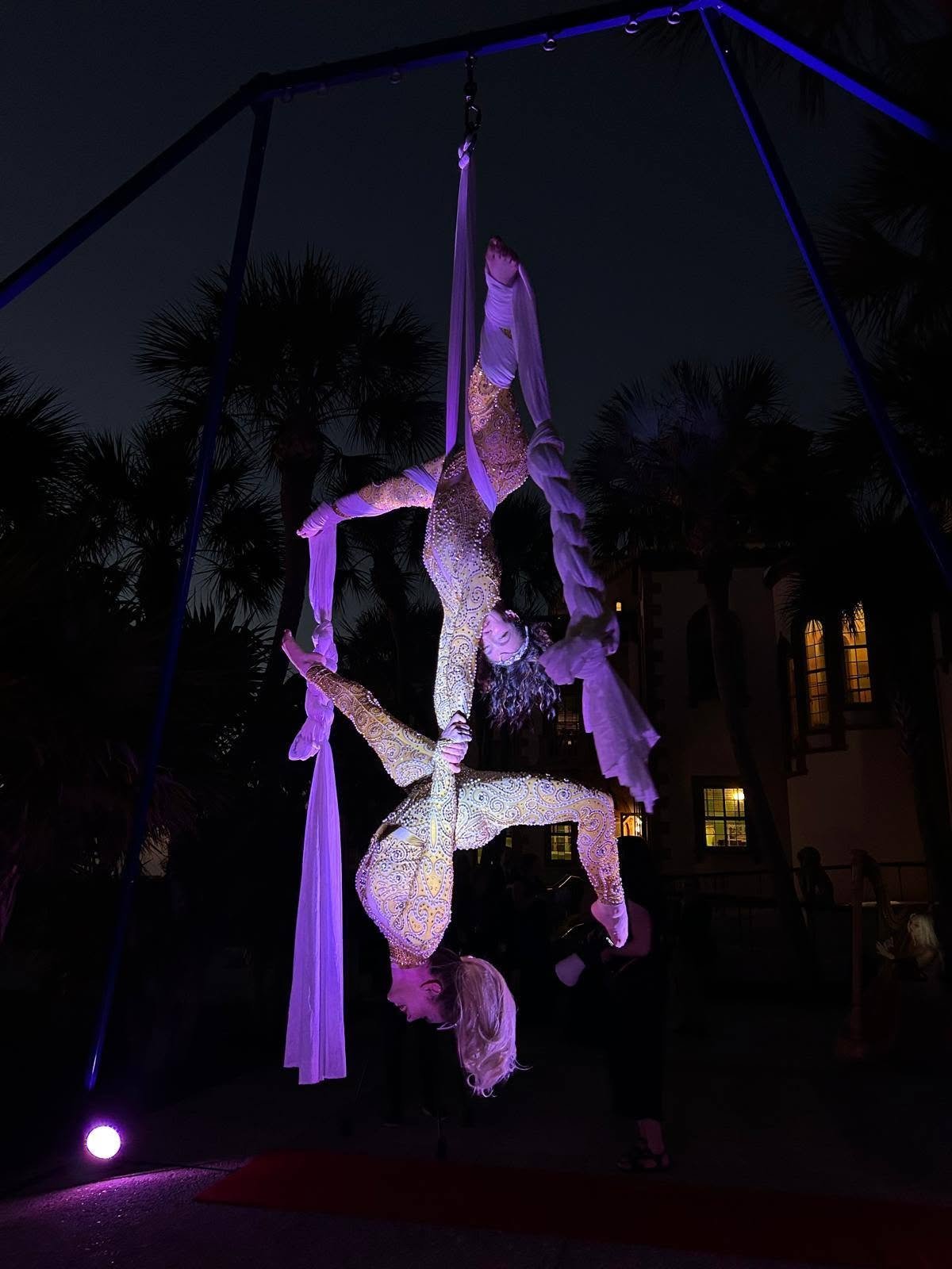 Aerial Artistry
