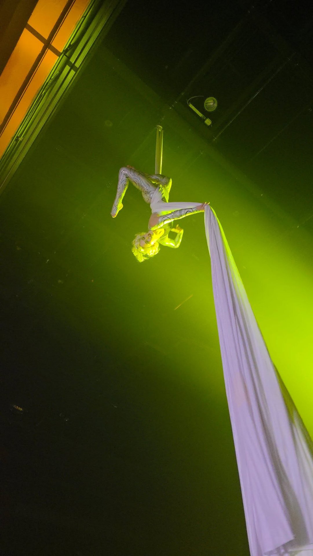 Aerial Artistry