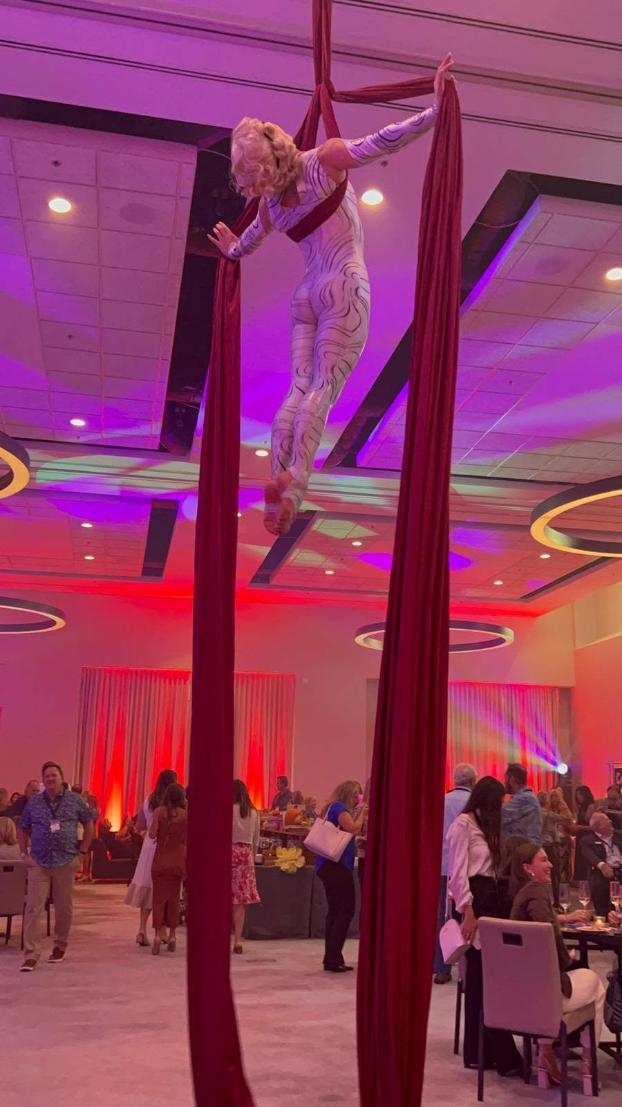 Aerial Artistry