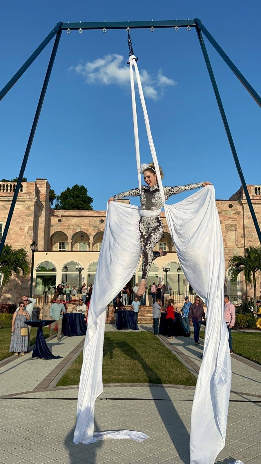 Aerial Artistry
