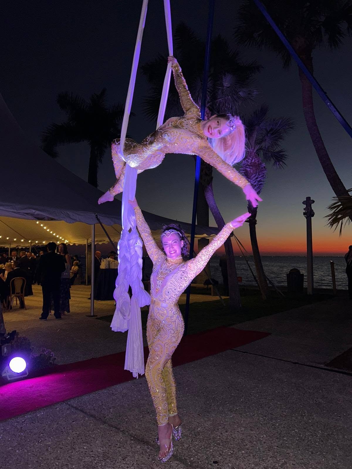 Aerial Artistry