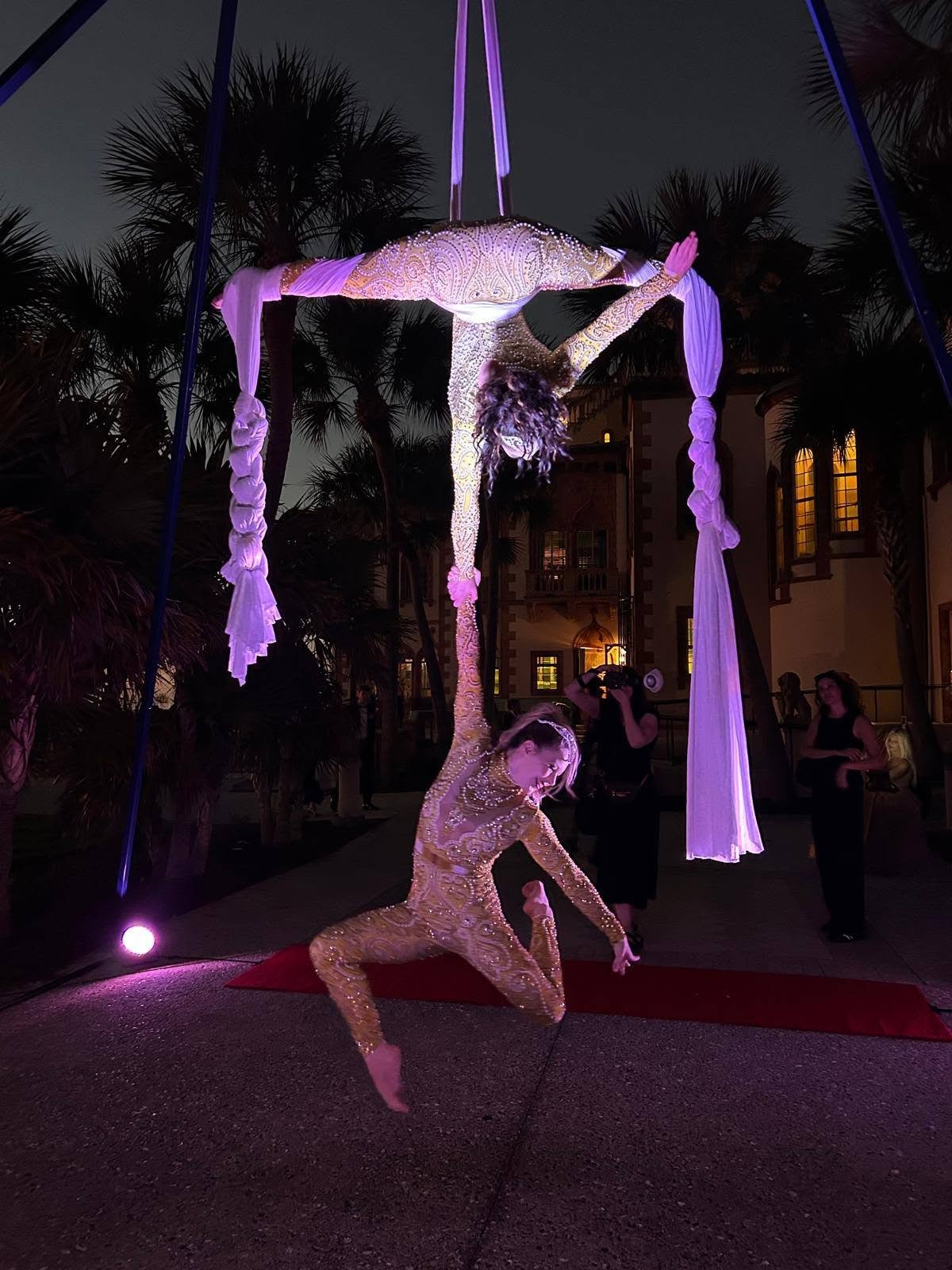 Aerial Artistry