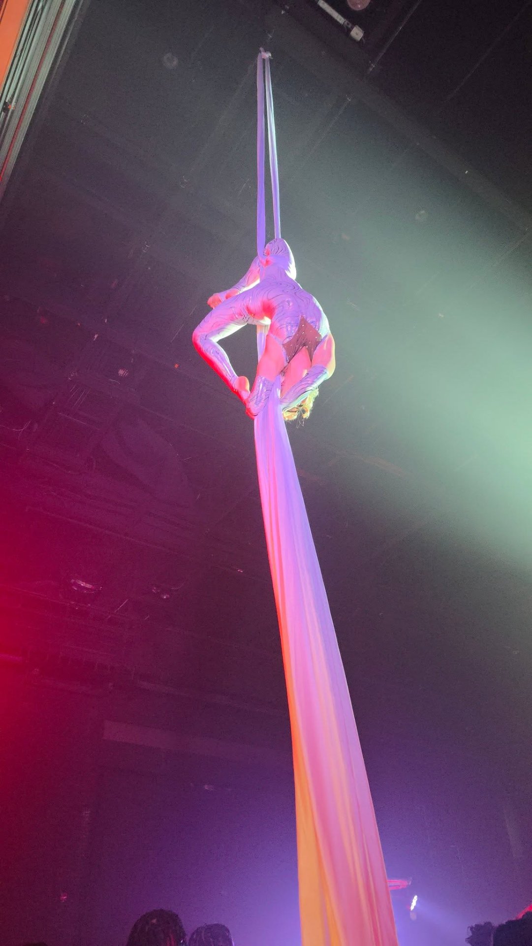 Aerial Artistry