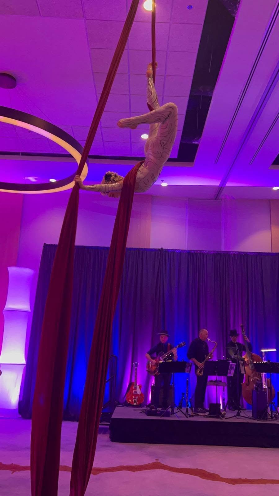 Aerial Artistry