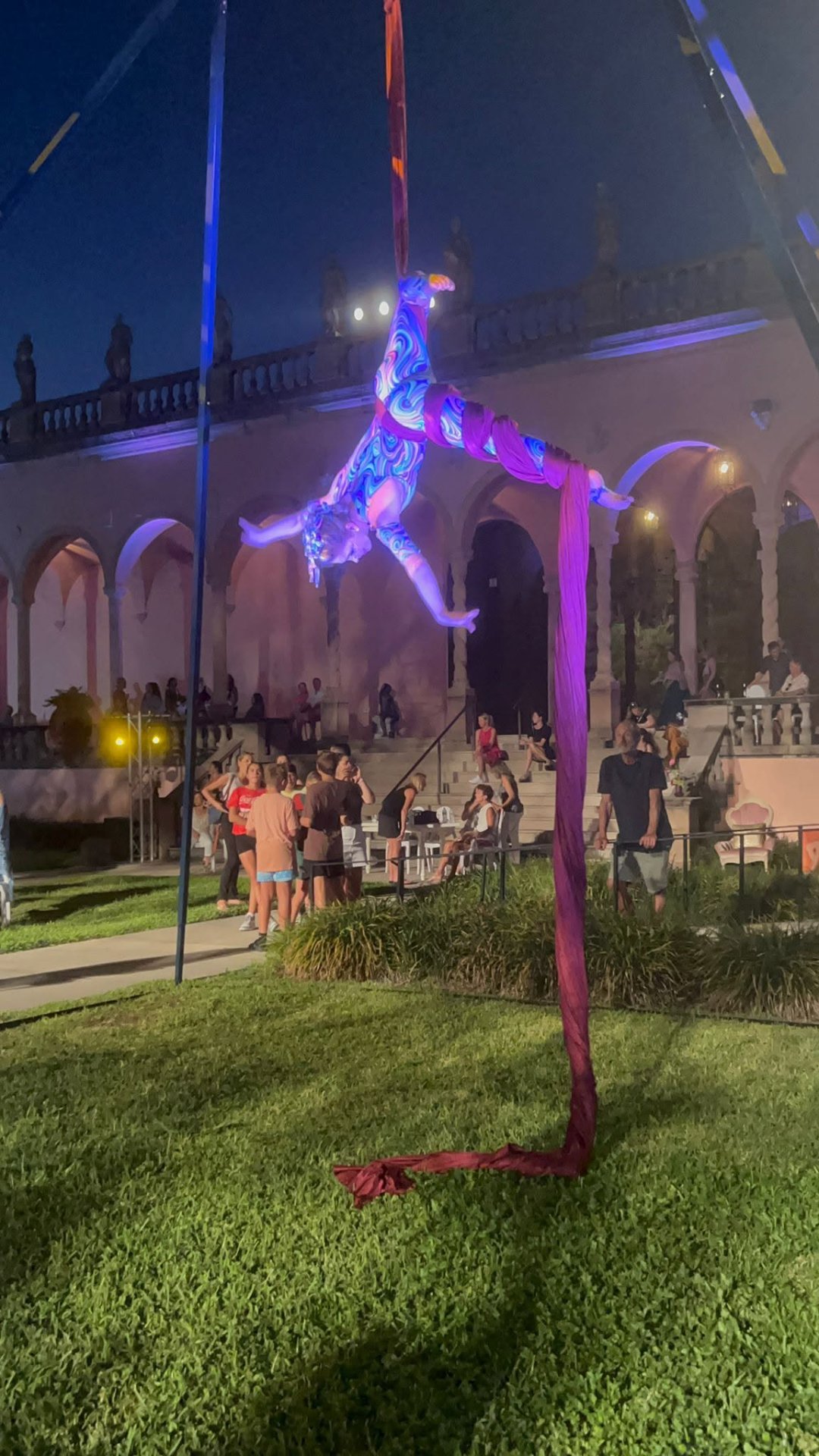 Aerial Artistry